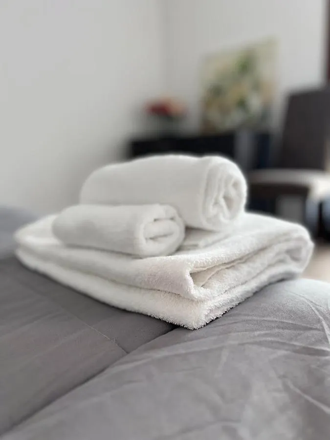Platinum Apartment Arezzo 0*,